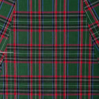 Claudia 50s Style Green Tartan Swing Dress