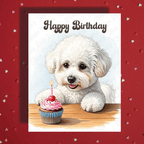 Birthday Greeting Card, Bichon Frise Dog: Happy Birthday