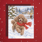 Christmas Card, Toy Poodle Dog (5 fur color options)