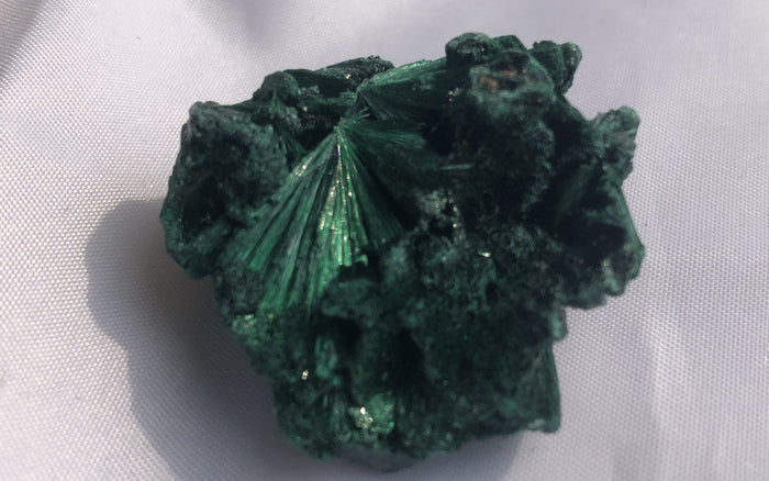 Fibrous Malachite 15 - Congo | Of Coins & Crystals