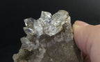 Herkimer Diamond Drusy 815-4 | Of Coins & Crystals