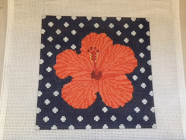 Hibiscus