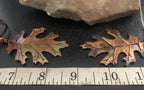 Black Oak / Large