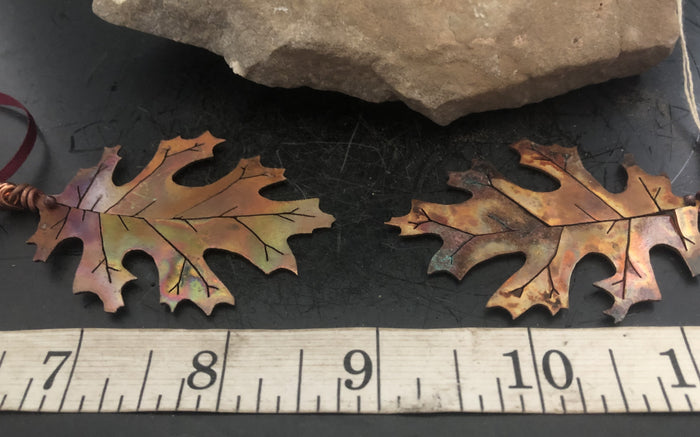 Black Oak / Large