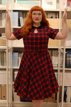 Evelyn Retro Check Swing Dress in Red