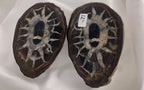 Septarian 33 - Morroco | Of Coins & Crystals