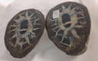 Septarian 33 - Morroco | Of Coins & Crystals