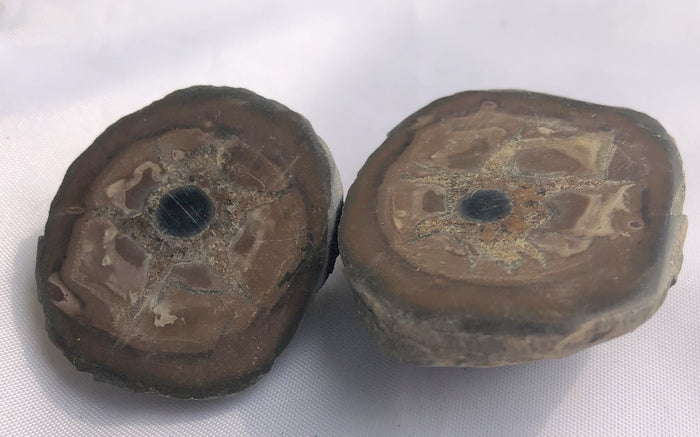 Septarian 40 - Morroco | Of Coins & Crystals