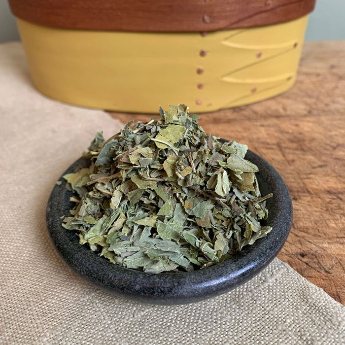 Shaker Culinary Herbs: Basil