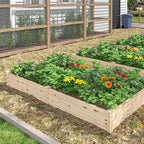 raised wooden beds for garden